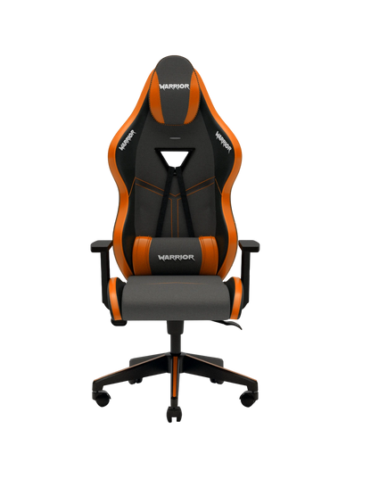 Warrior Aragorn Oyuncu Koltugu