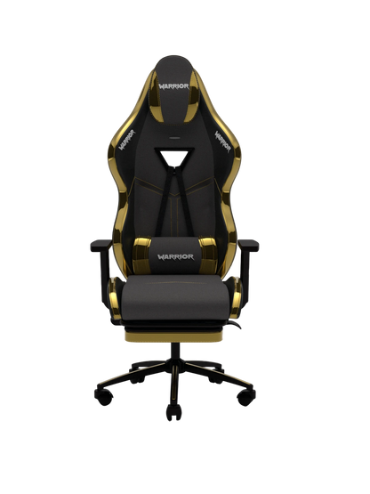 Warrior Aragorn Oyuncu Koltugu