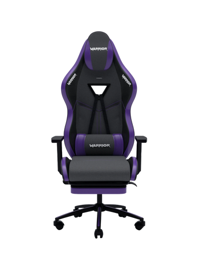 Warrior Aragorn Oyuncu Koltugu