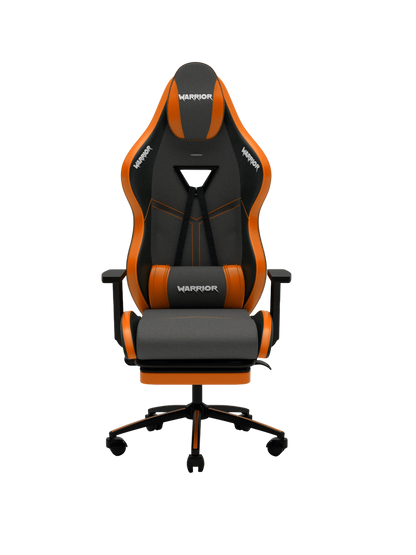 Warrior Aragorn Oyuncu Koltugu